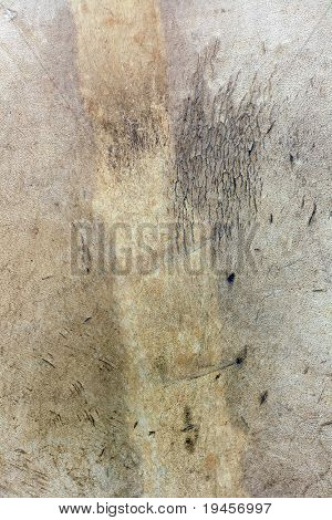 Genuine leather texture