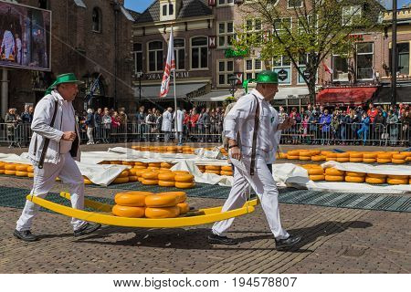 Alkmaar, Netherlands - April 28, 2017: Cheese carriers at traditional cheese market.