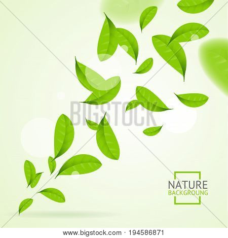 Realistic Fly Green Leaves Pattern Background Bright Nature Foliage Movement for Poster. Vector illustration