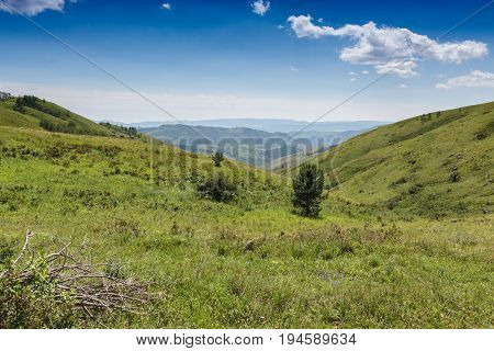 Yellow-green hill and sky with clouds. Wild grasses. Mixed grass. Summer sunny day. Beautiful summer landscape.