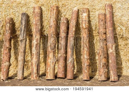 Logs On a briquette of hay. a stack of hay.