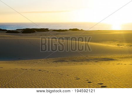 Slope hill sand on yellow dunes on blue sky background. Sunrise, morning. Sustainable ecosystem. Canary island, Fuerteventura