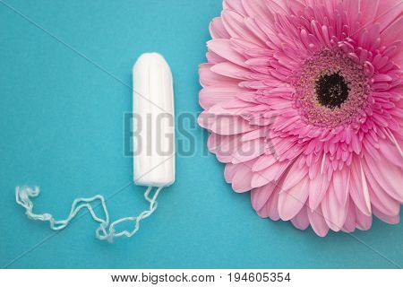 Cotton menstrual tampon and pink gerbera daisy flower. Selective soft focus. Woman hygiene conception photo. Soft tender protection for woman critical days gynecological menstruation cycle