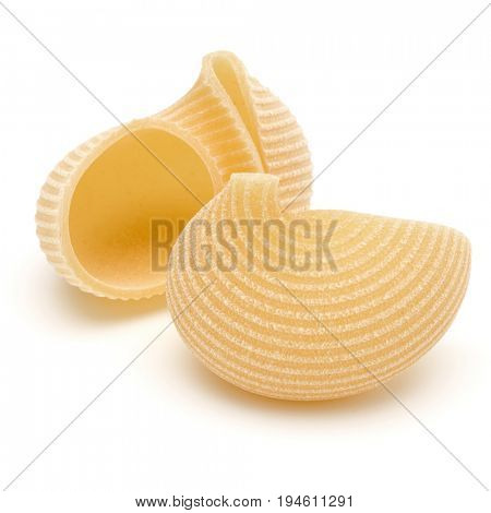 Italian lumaconi isolated on white background. Lumache, snailshell shaped pasta.