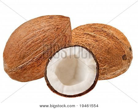 Coconut