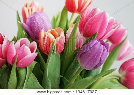 Tulips bouquet with drops. Spring flowers closeup.