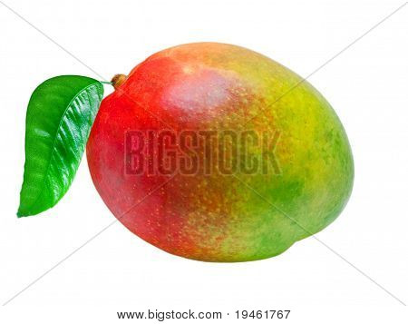 Mango
