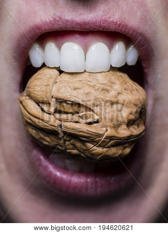 Close up of a mouth with healthy teeth that crack a nut