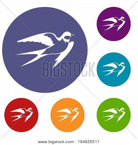 Barn swallow icons set in flat circle reb, blue and green color for web