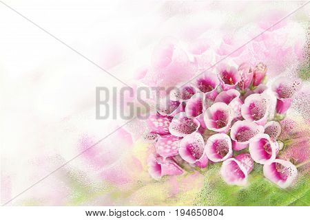 Romantic background with beautiful purple flowers Foxglove