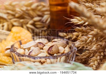 Pistachio nuts peanuts and potato chips a snack for beer lying in a glass dish surrounded by ingredients for making malt for beer bread. Spikes of wheat barley oats rye.