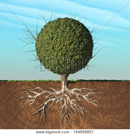 A tree with green leaves in the shape of sphere with roots underground. This is a 3d render illustration
