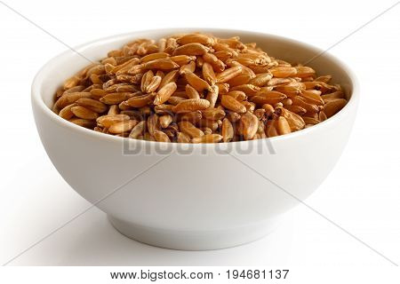 Kamut Wheat Kernels