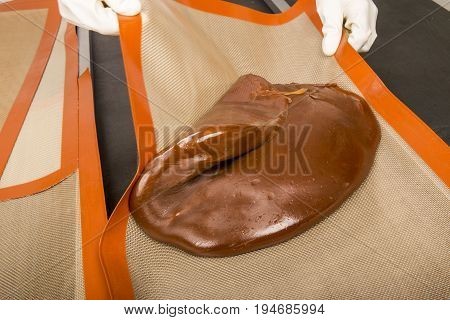 Artisanal production of caramel toffee sweets butterscotch candies. Woman with white lab coat blouse stretching moving extending the sugar pastry to do butterscotch candies sweet of France