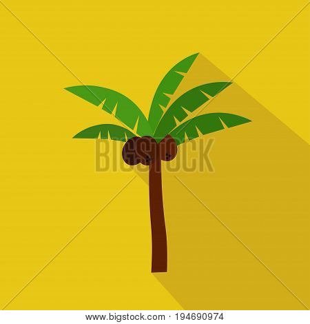 Palm cartoon flat icon. Brazil. Summer.Vector illustrationdesign element