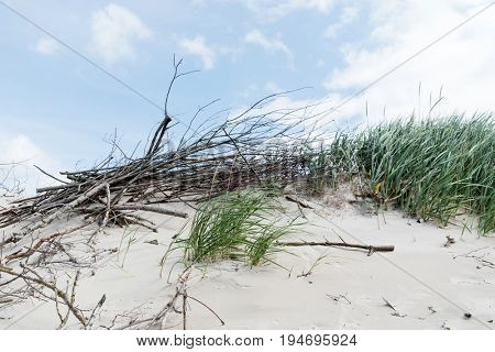 Baltic sea