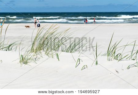 Baltic sea