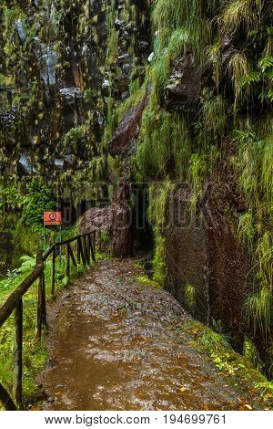 Risco levada in Madeira Portugal - travel background