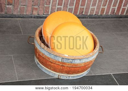 Big Dutch cheese on display in a store