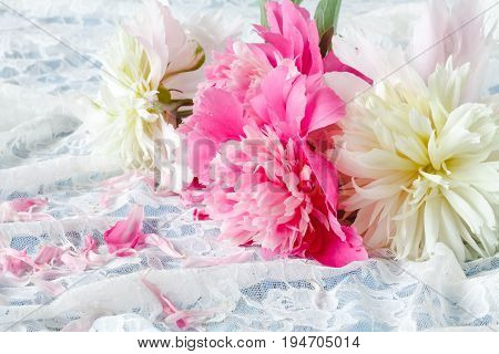 Light pink double Peonies lay on lace