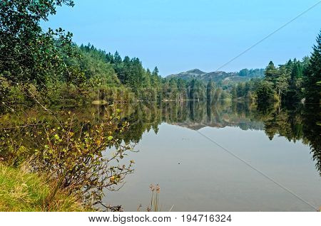Mountain Lake,flat,calm with reflections, Tarn Hows Cumbria UK