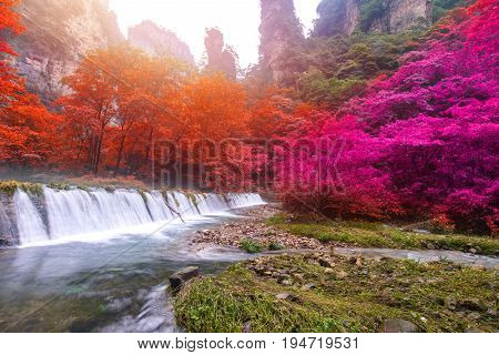 Waterfall In Golden Whip Stream At Zhangjiajie National Forest Park, Hunan, China