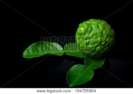 Kaffir Lime or Bergamot on black background with Copy Space for text.