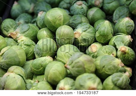 Brussel sprout concept healthy nutririon texture background