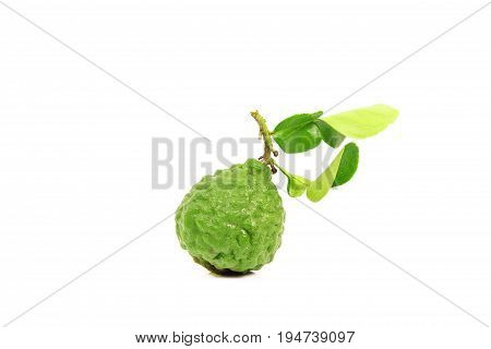 Kaffir lime and kaffir lime leaf on white background