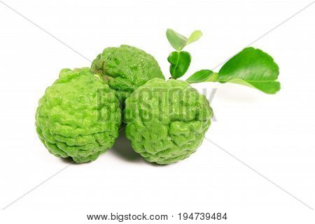 Kaffir lime and kaffir lime leaf on white background