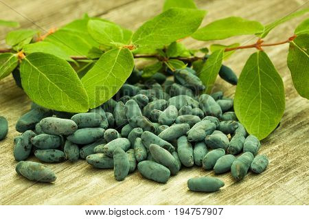 Fresh Blue Berries Of Honeysuckle (Lonicera) With Green Leaves On Old Wooden Table.