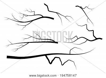 Bare Branch Set Vector Symbol Icon Design.