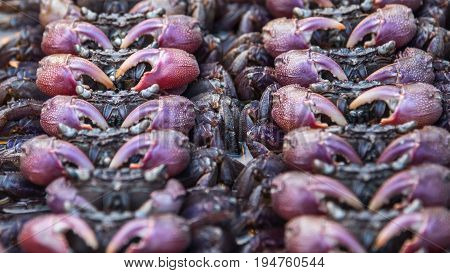 Salted Crab At Thai Street Food Market