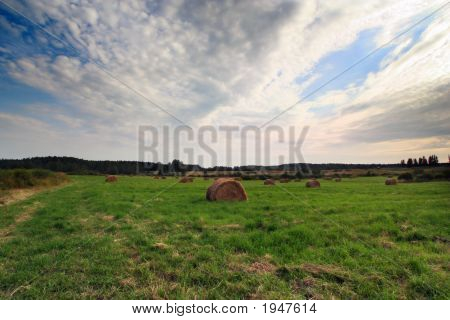 Field Of Straw Bales