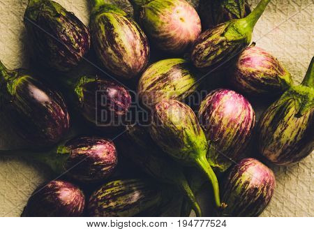 Fresh eggplants picked from a nearby farmer's market.