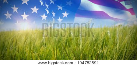 American flag on metal pole against green meadow
