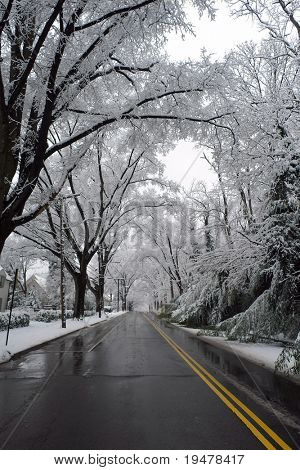 Hiver à Washington DC