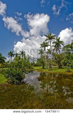 Fairchild tropiske botaniske have, FL, USA
