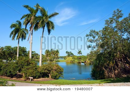 Fairchild tropiske botaniske have, FL, USA