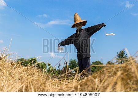 Scarecrow strawman made to guard the fields