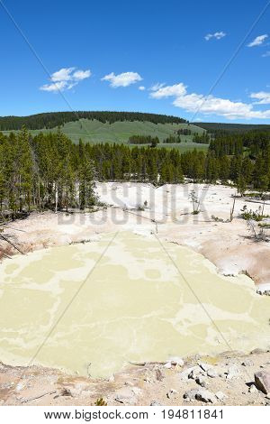 Sulphur Caldron, Yellowstone National Park, is at the edge of one of the most active areas of the parks buried volcano, filling the caldron with sulfuric acid.