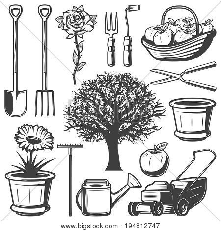 Vintage garden elements collection with agricultural tools flowers tree watering can lawm mower pot apples isolated vector illustration