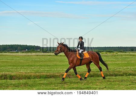 Pretty little girl jockey riding a horse across country in professional outfit