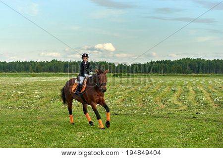 Pretty little girl jockey riding a horse across country in professional outfit
