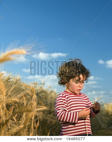 bambino in un campo di grano