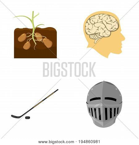 sport, nature, history and other  icon in cartoon style.Ages, fight, medicine, icons in set collection.