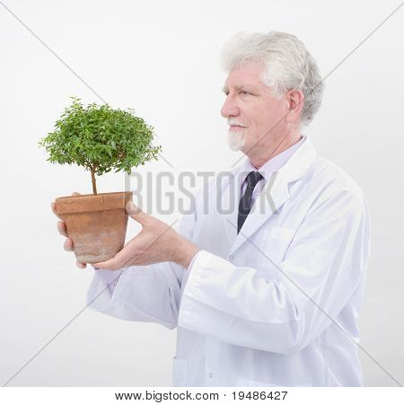 küçük saksı ağaç tutan kıdemli bilim adamı