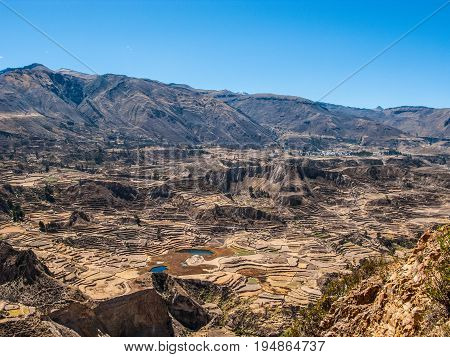 Incan terraced fields in Colca Valley Peru