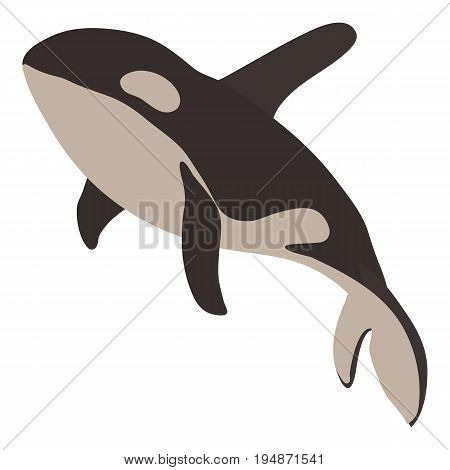 Grampus icon. Cartoon illustration of grampus vector icon for web isolated on white background