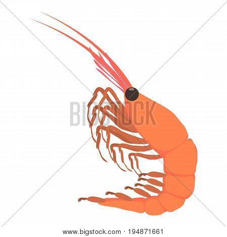 Shrimp icon. Cartoon illustration of shrimp vector icon for web isolated on white background